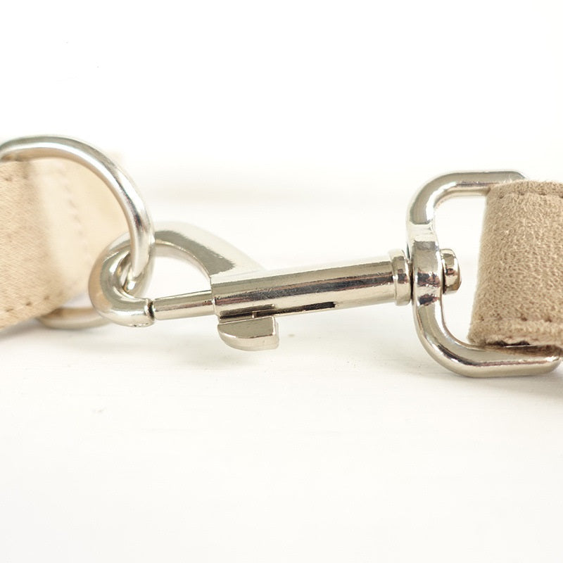 Dog Collar Traction Rope for Strong Control and Daily Walks