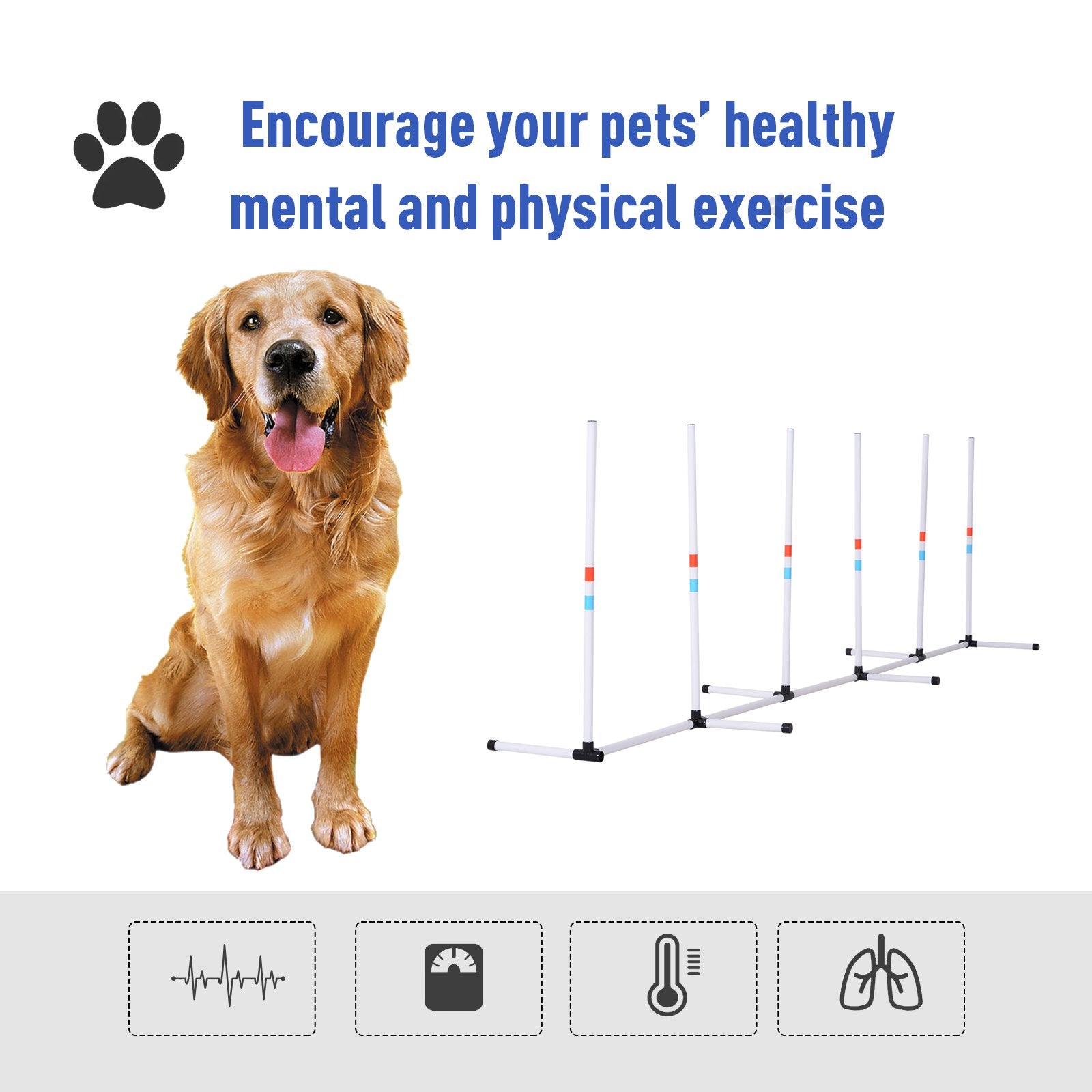 Premium Dog Weave Poles Agility Training Set with Storage Bag