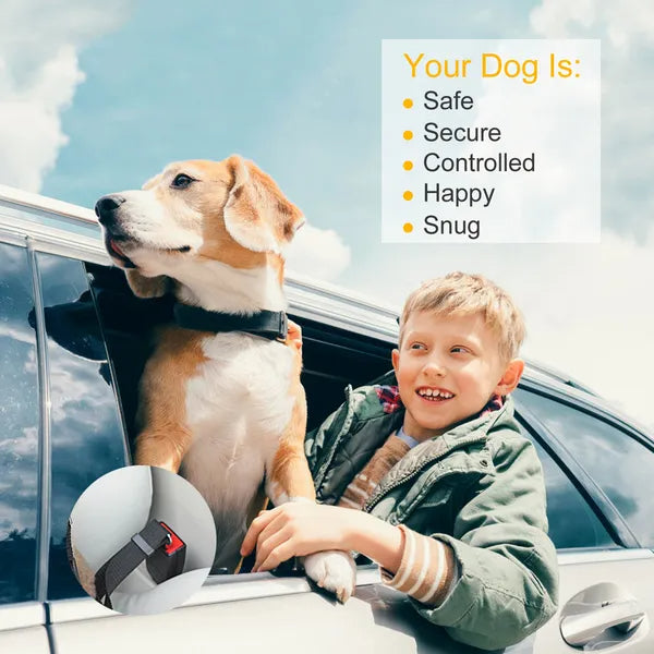 2PCS Adjustable Pet Seat Belt Leash for Dog and Cat Safety