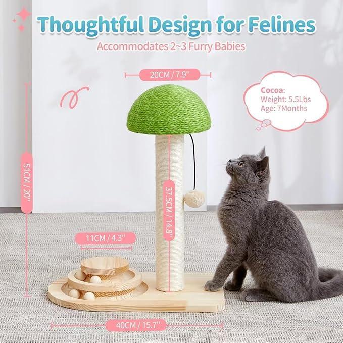 Premium Mushroom Cat Scratching Post with Ball Track Toy Board