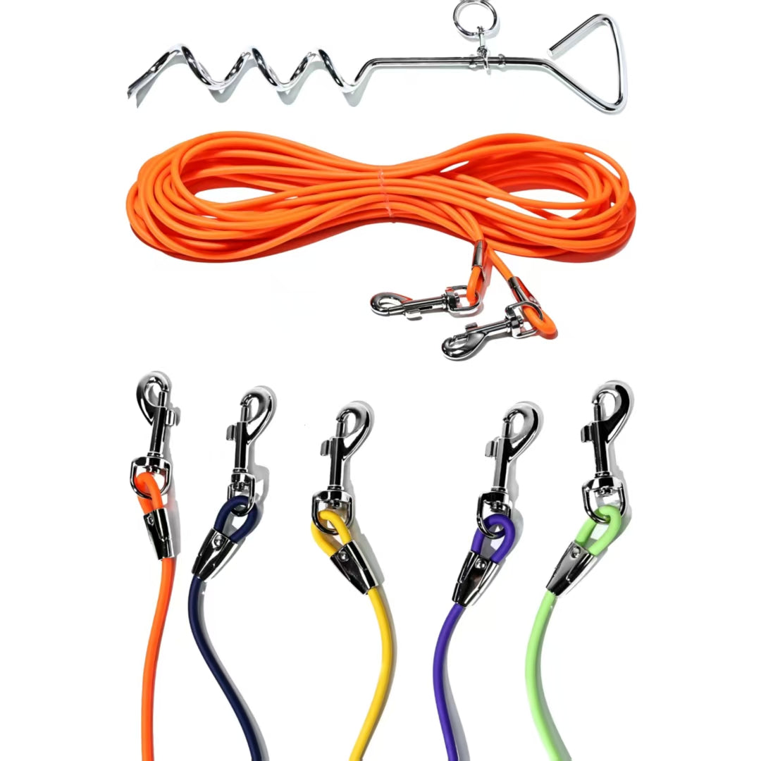 Ground Stake Dog Leash for Secure Outdoor Freedom and Play