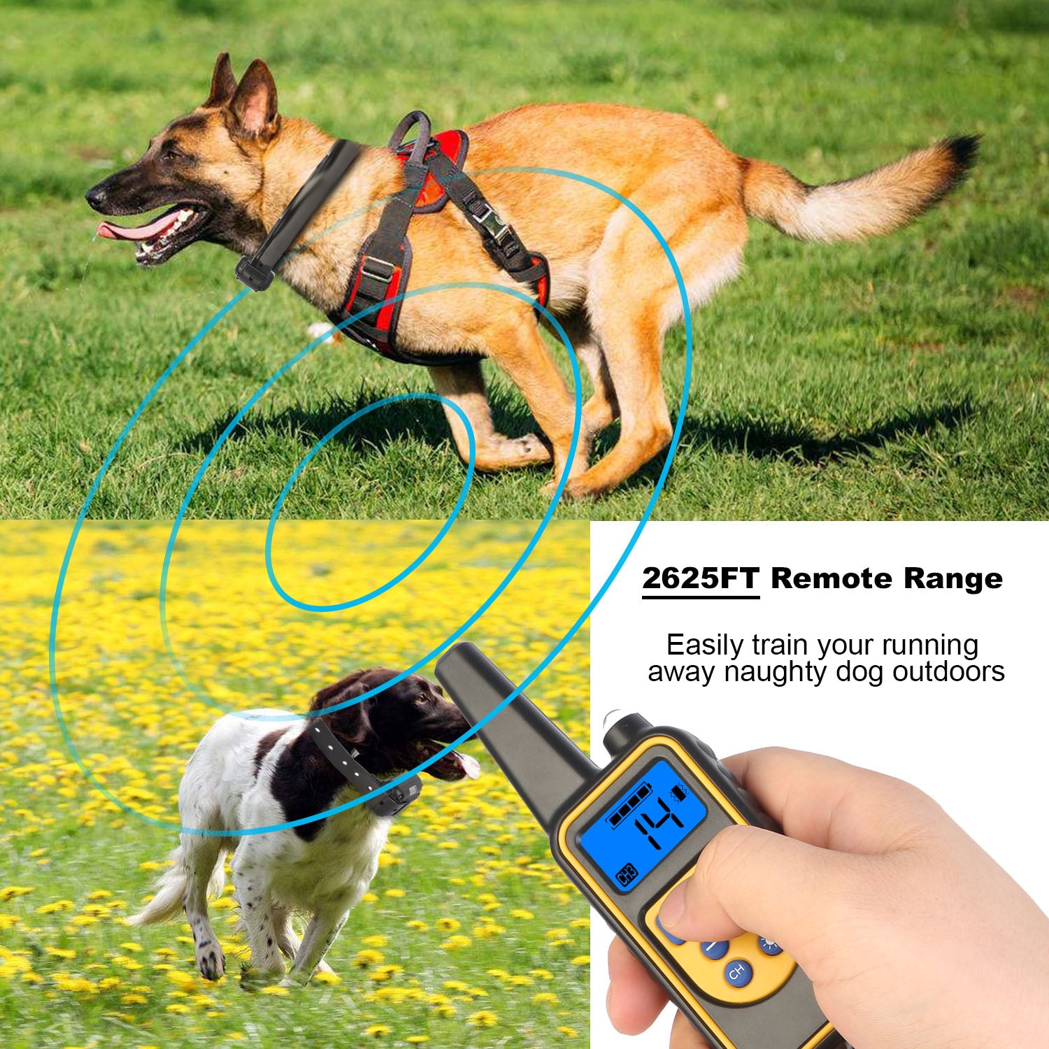 Remote Dog Training Collar with Waterproof Design and 4 Training Modes