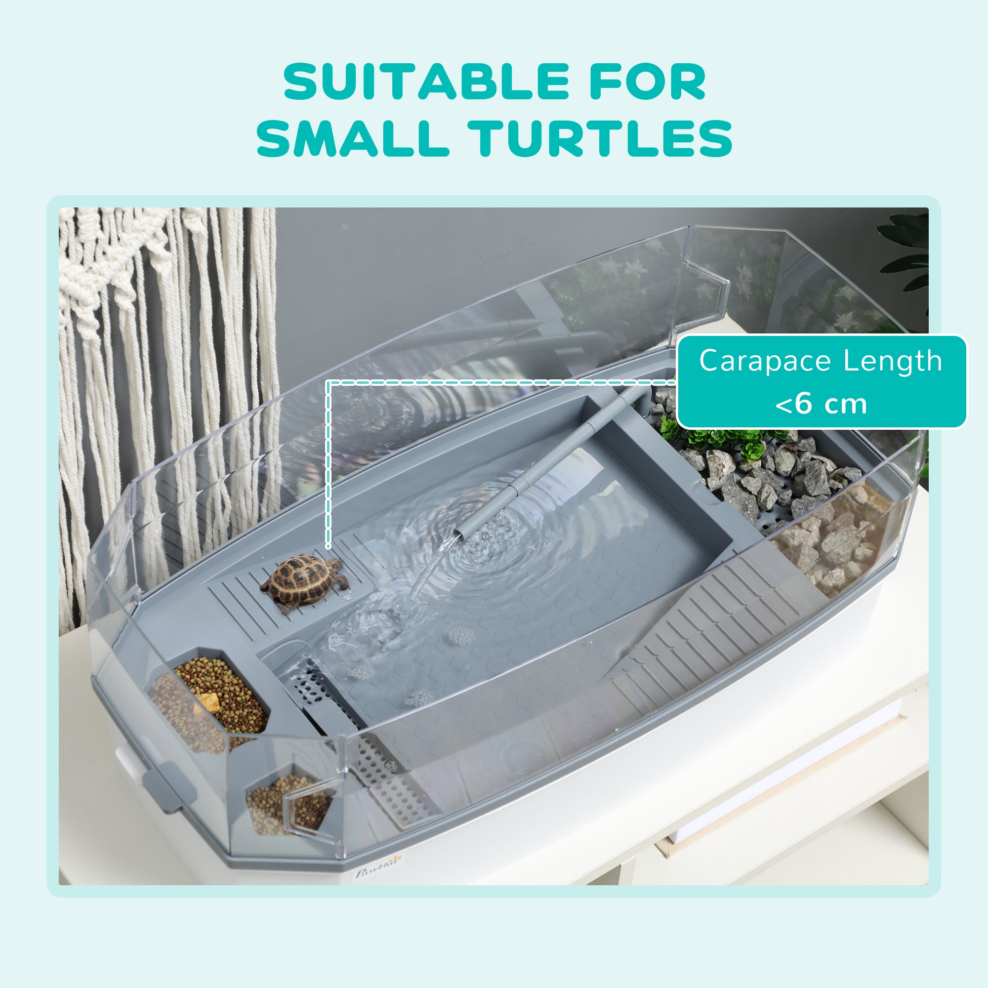 Premium Turtle Tank Kit Aquarium with Basking Platform Filter