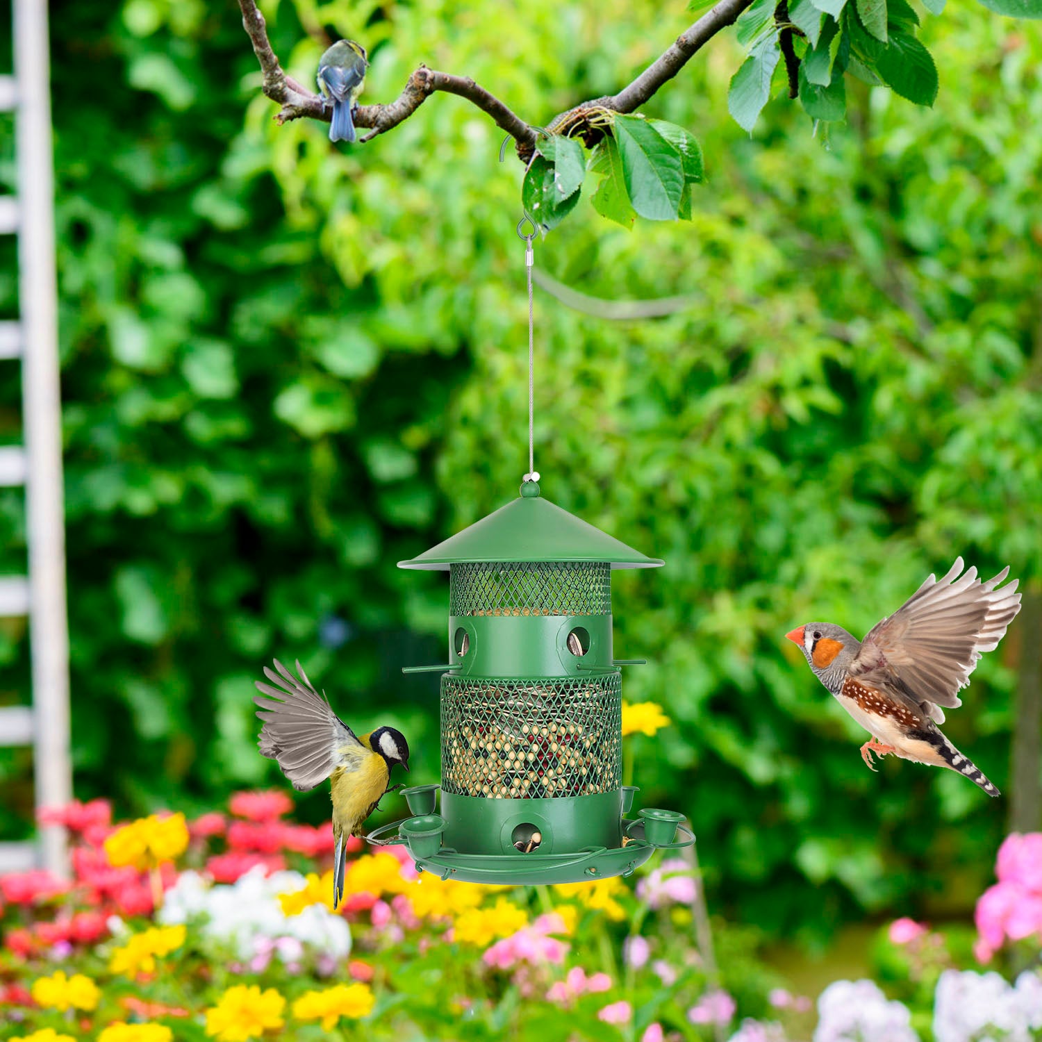 Large Squirrel Proof Hanging Bird Feeder Metal 6 Perch Garden