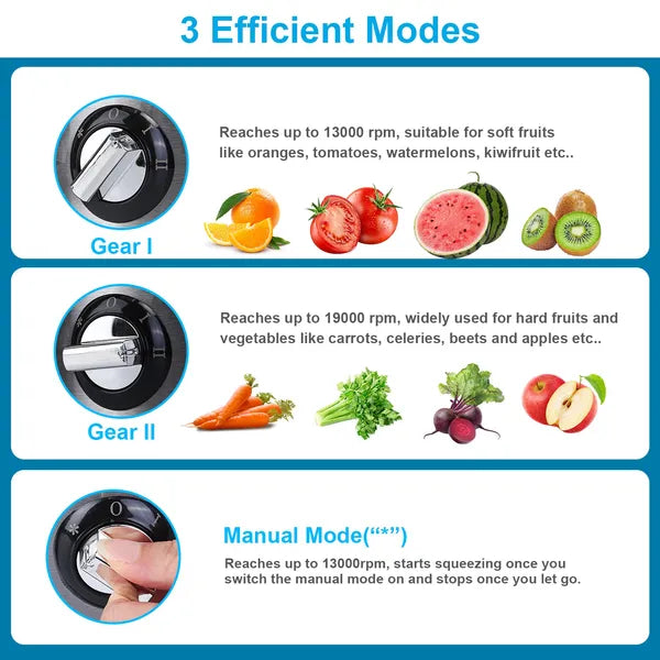 1000W Centrifugal Juicer 2 Speed Fruit Vegetable Juice Maker