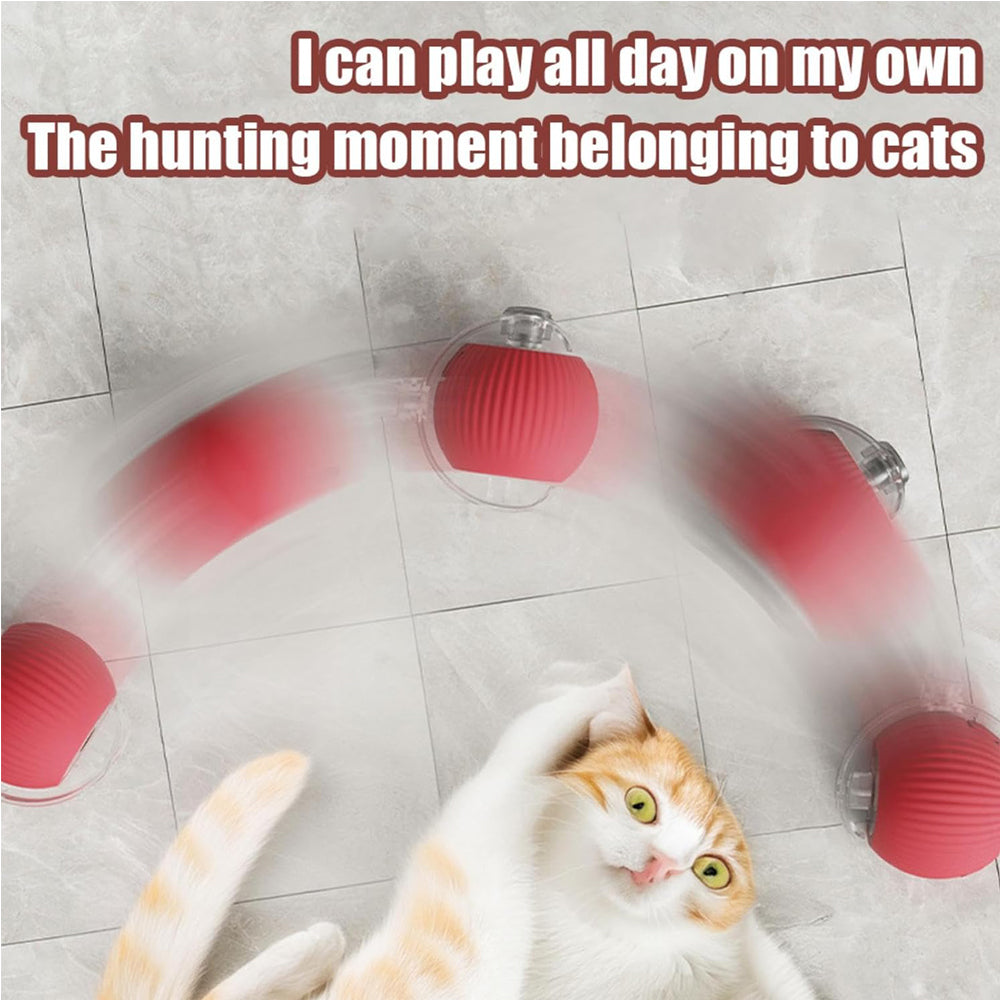 Premium Interactive Rolling Cat Ball Toy for Active Play