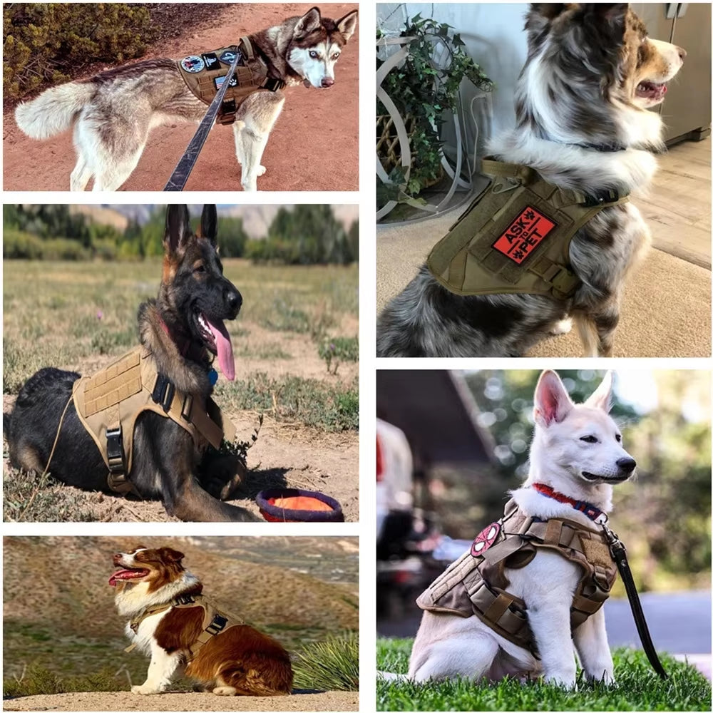 Premium Camouflage Dog Harness Leash Set Luxury Chest Control