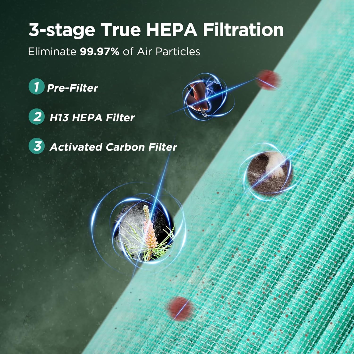H13 True HEPA Air Purifier Quiet Portable Cleaner for Home Room