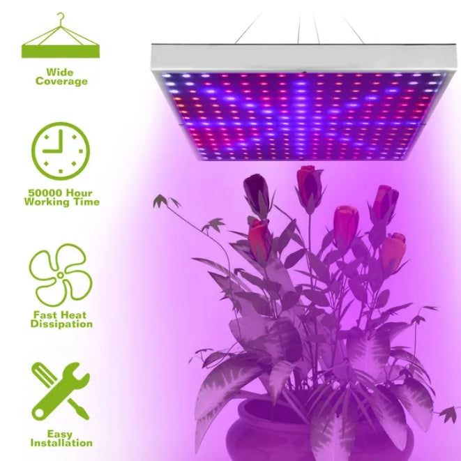Full Spectrum Plant Grow Light Indoor LED Lamp for Plants