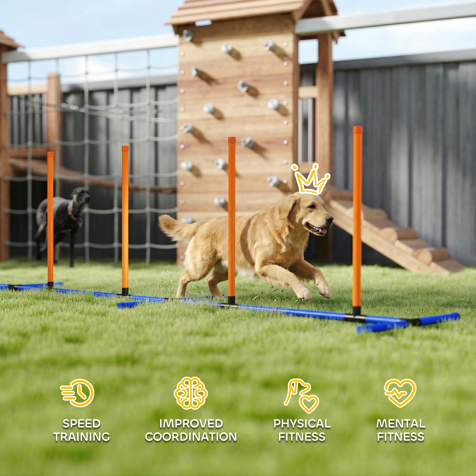Dog Agility Training Set for Backyard & Indoor Use – Adjustable Agility Jump Course Kit