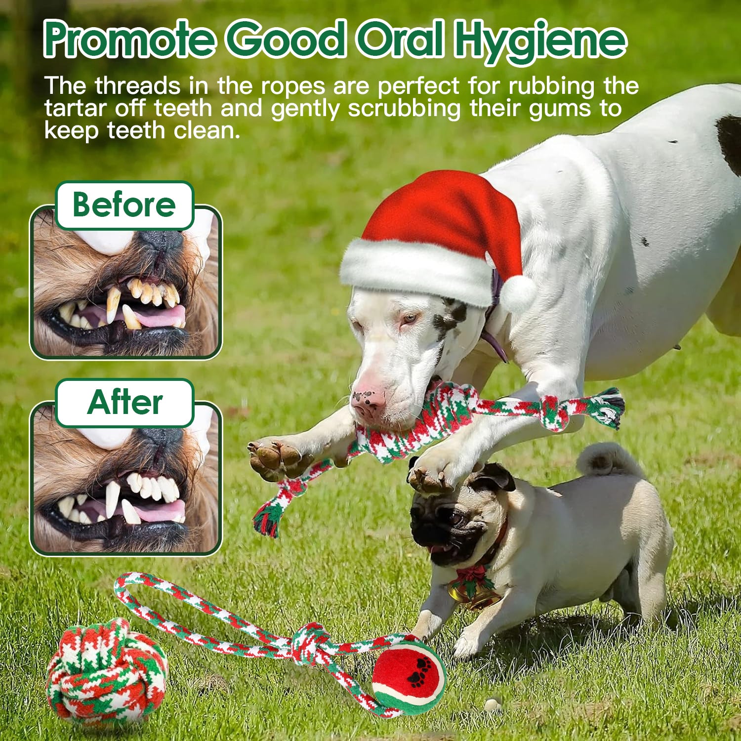 Premium Dog Rope Chew Toy Set for Training and Teething