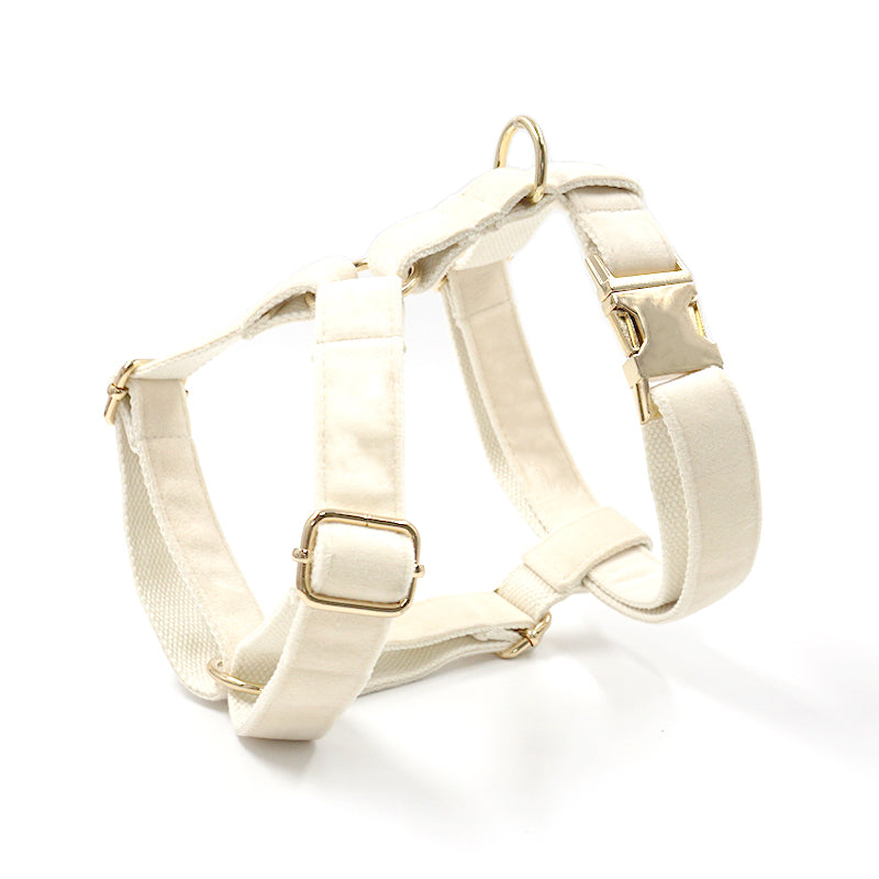 Dog Collar Traction Rope for Strong Control and Daily Walks