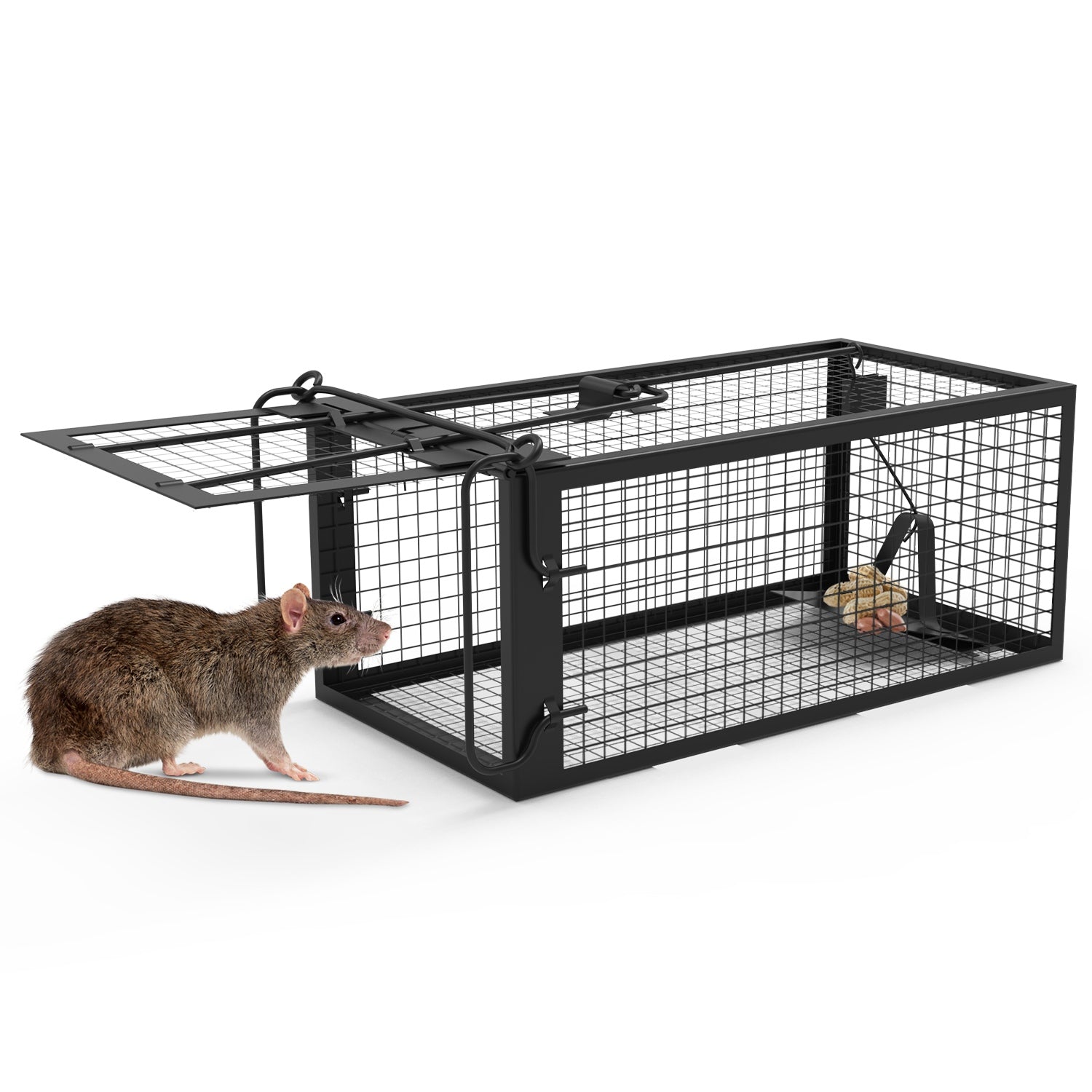 Premium Humane Rat Trap Cage Set for Safe Rodent Control