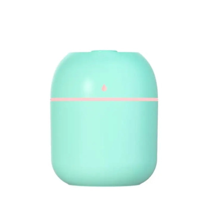 Portable Mini Humidifier 220ml USB Cool Mist Diffuser