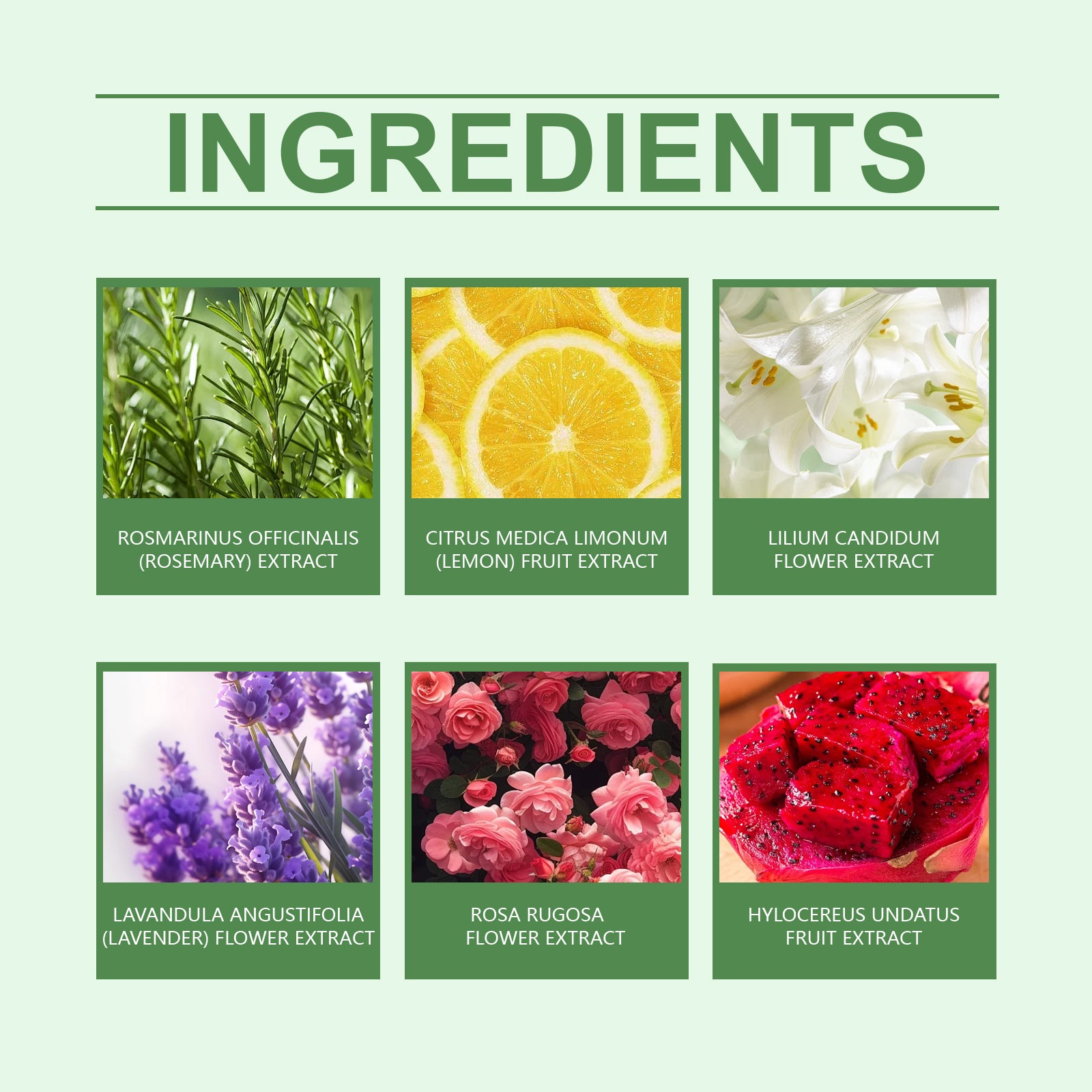 Plant Scented Fragrant Shower Ball for Moisturizing Body Clean & Skins