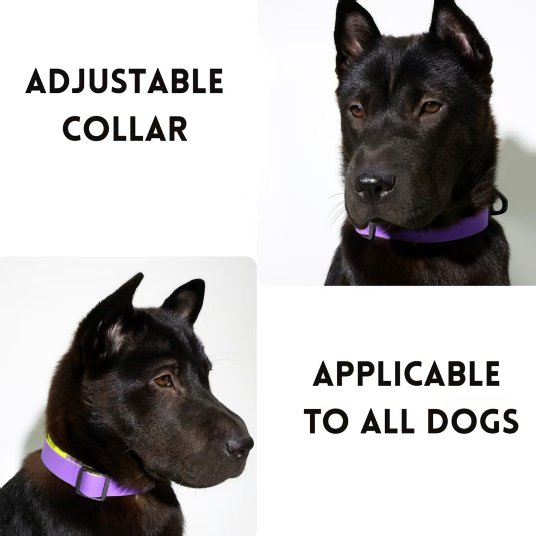 Honeycomb Embossed Dual-Color Pet Leash Set for Stylish Control