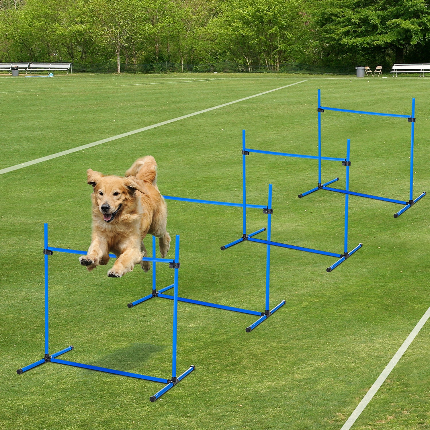 Adjustable Dog Agility Jump Training Set – Indoor & Outdoor Dog Exercise Kit