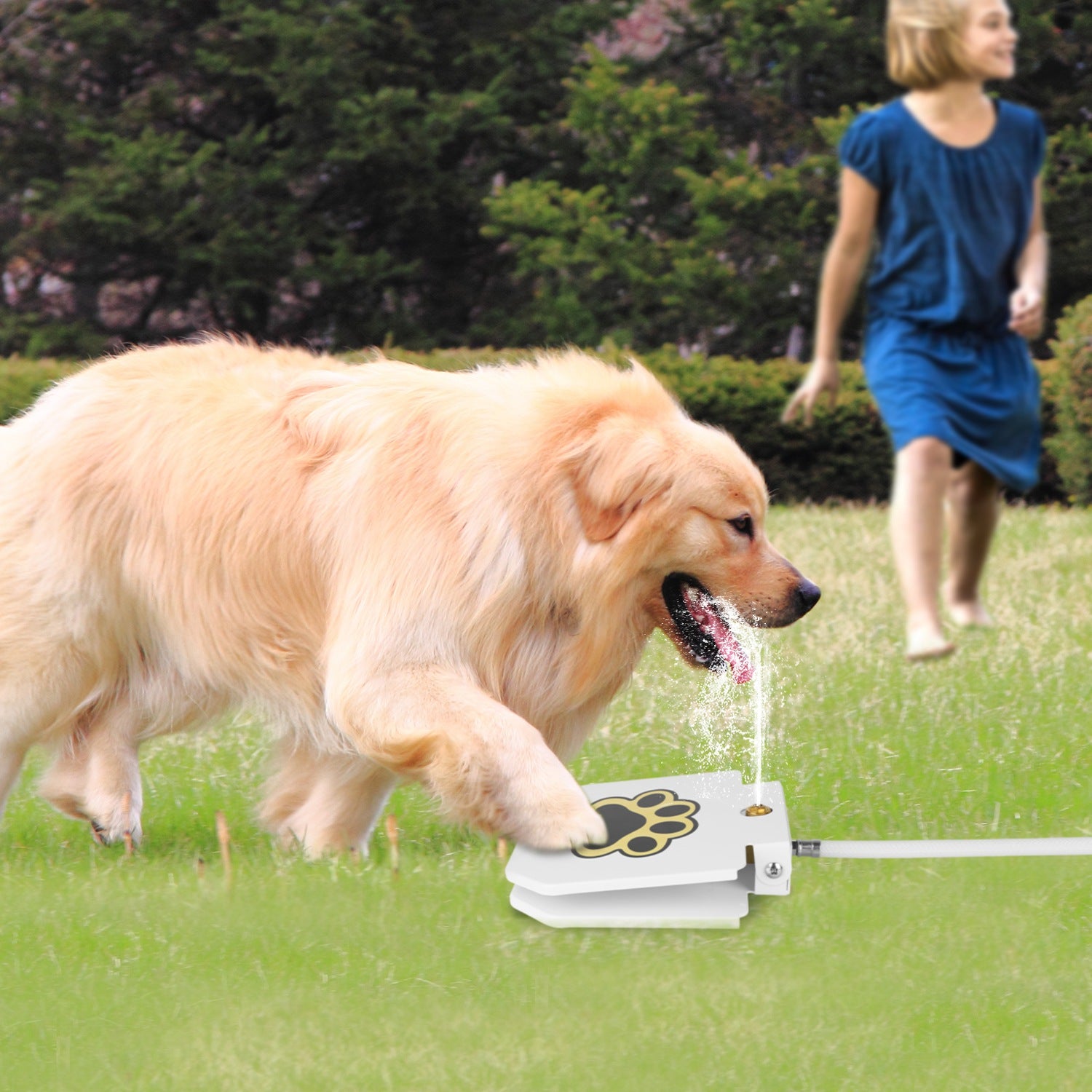 Outdoor Dog Water Fountain Step On Paw Activated Drinking Sprinkler