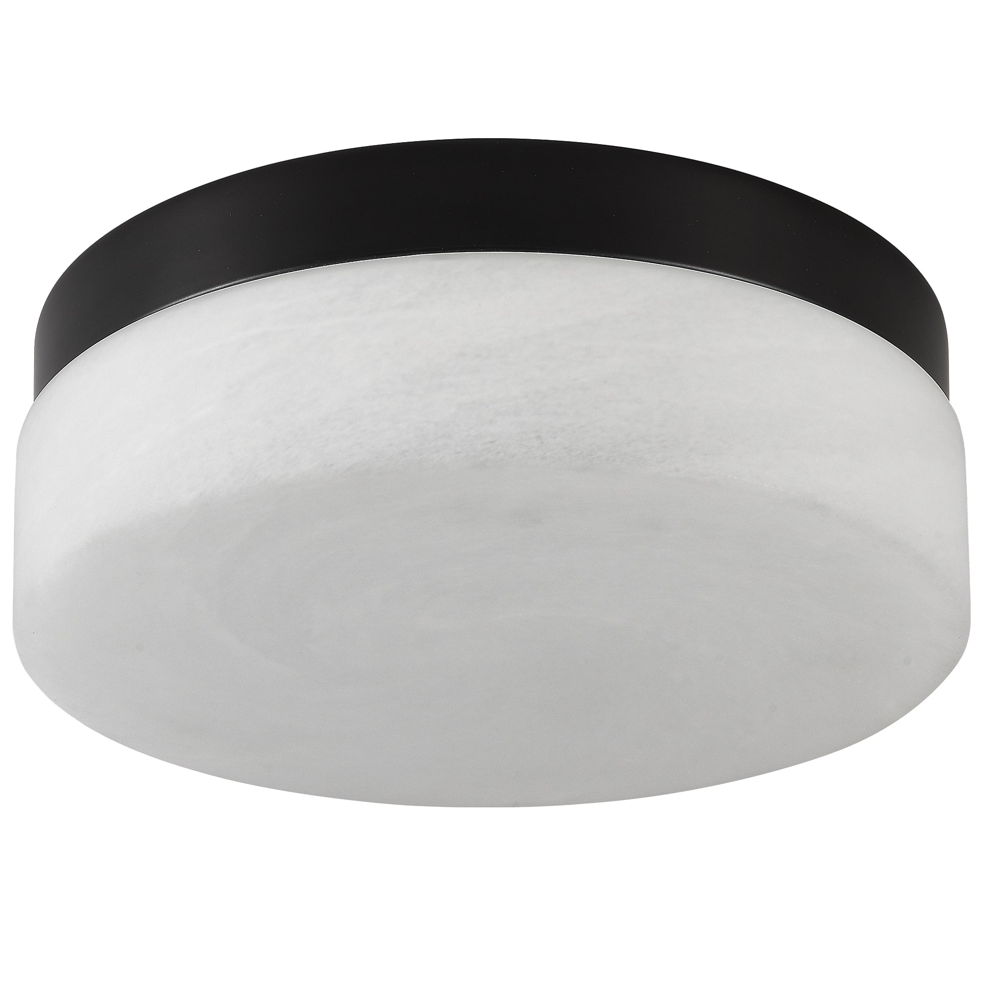 12 Inch LED Ceiling Light 24W Black Flush Mount Round Lamp