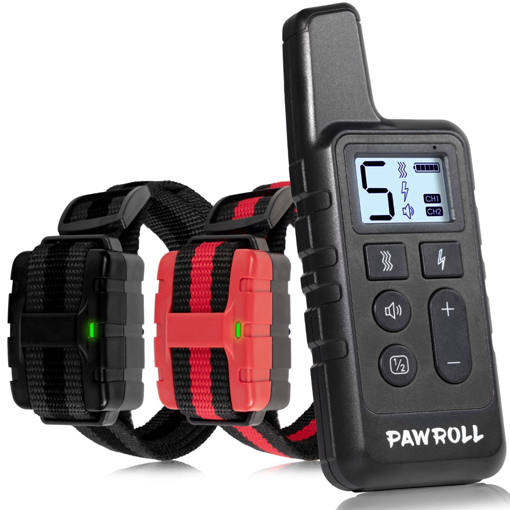 Dog Training Collar Set for 2 Dogs in Black and Red Design