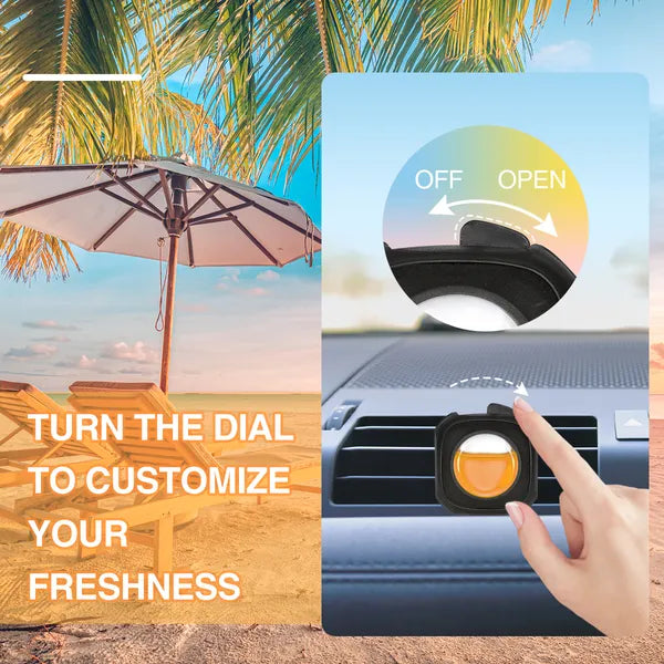 6-Pack Hawaiian Scent Car Vent Clip Air Freshener Long Lasting