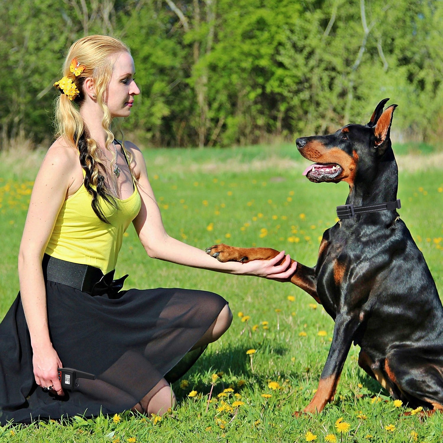 3280FT Dog Training Collar with Remote and Receiver Options