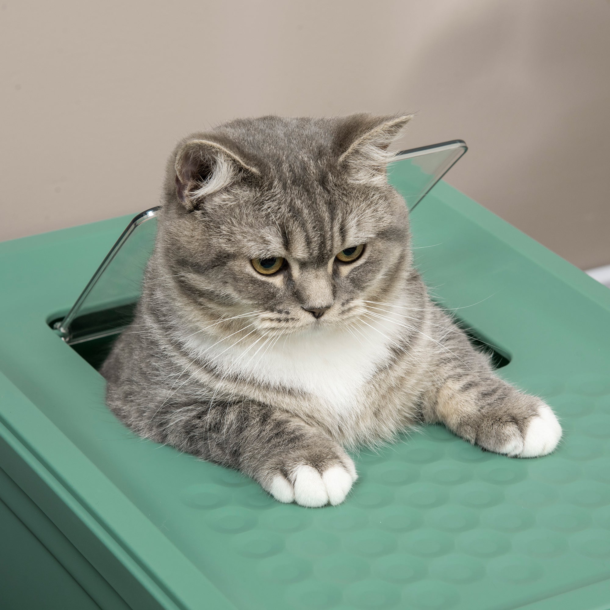 Premium Enclosed Cat Litter Box Front Entry Top Exit Design