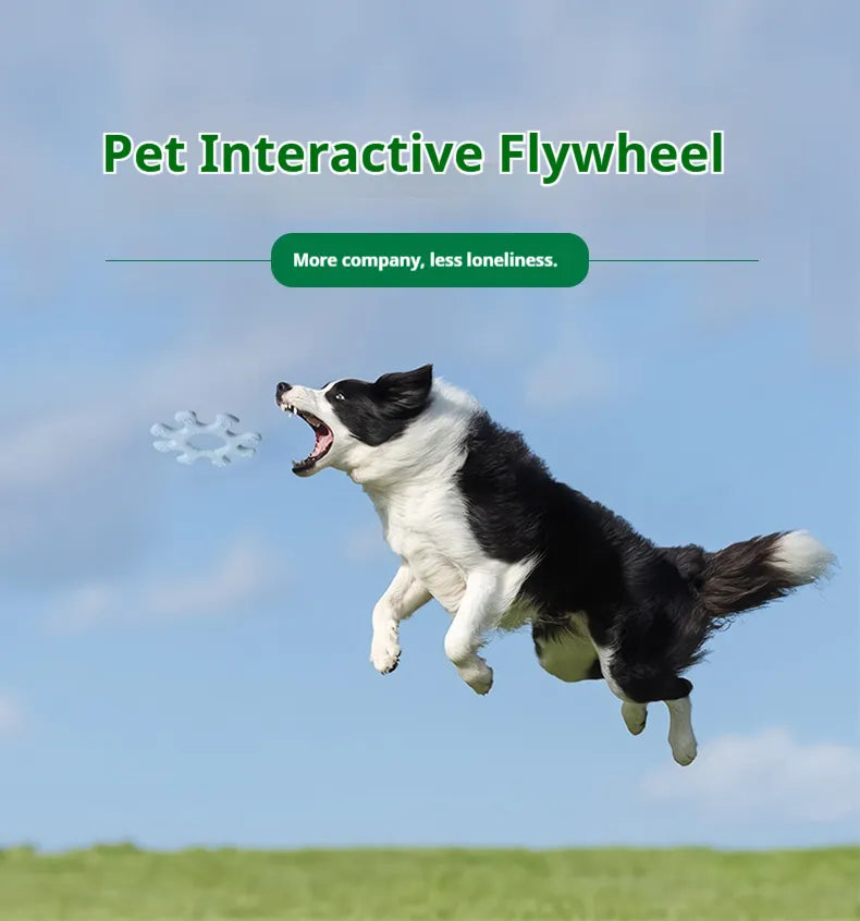 Interactive Dog Flywheel Frisbee Toy for Fun Play and Bonding
