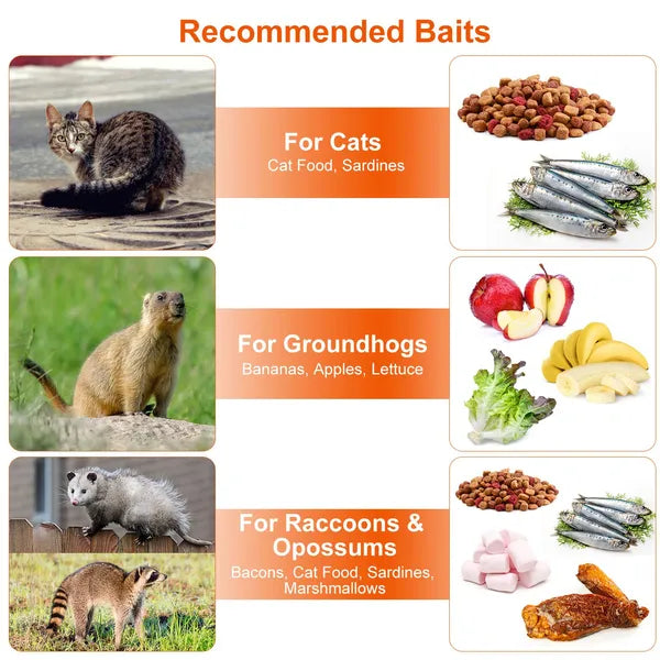 Premium Humane Animal Trap Cage Collapsible Galvanized Wire