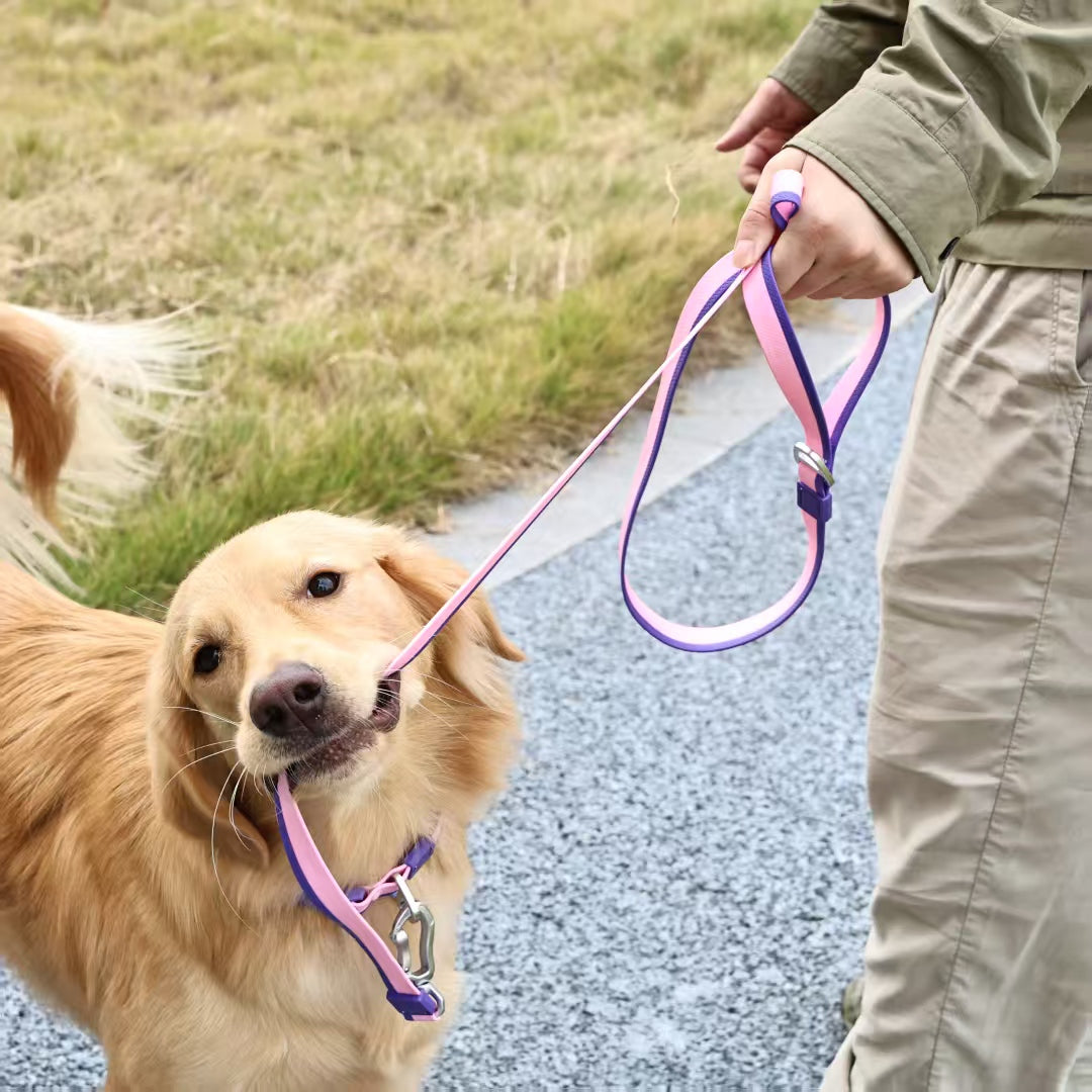 Dual-Color Embossed Pet Leash Set for Stylish Daily Walks