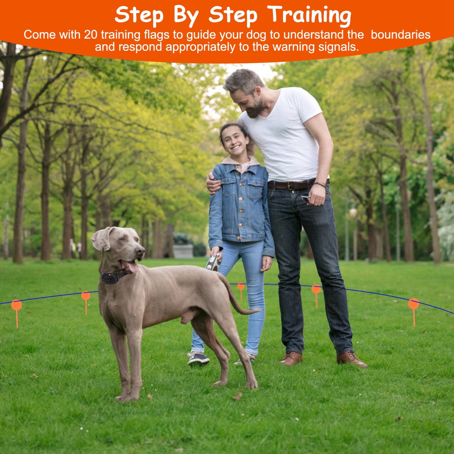 Underground Dog Fence System with 100 Levels Waterproof Receiver