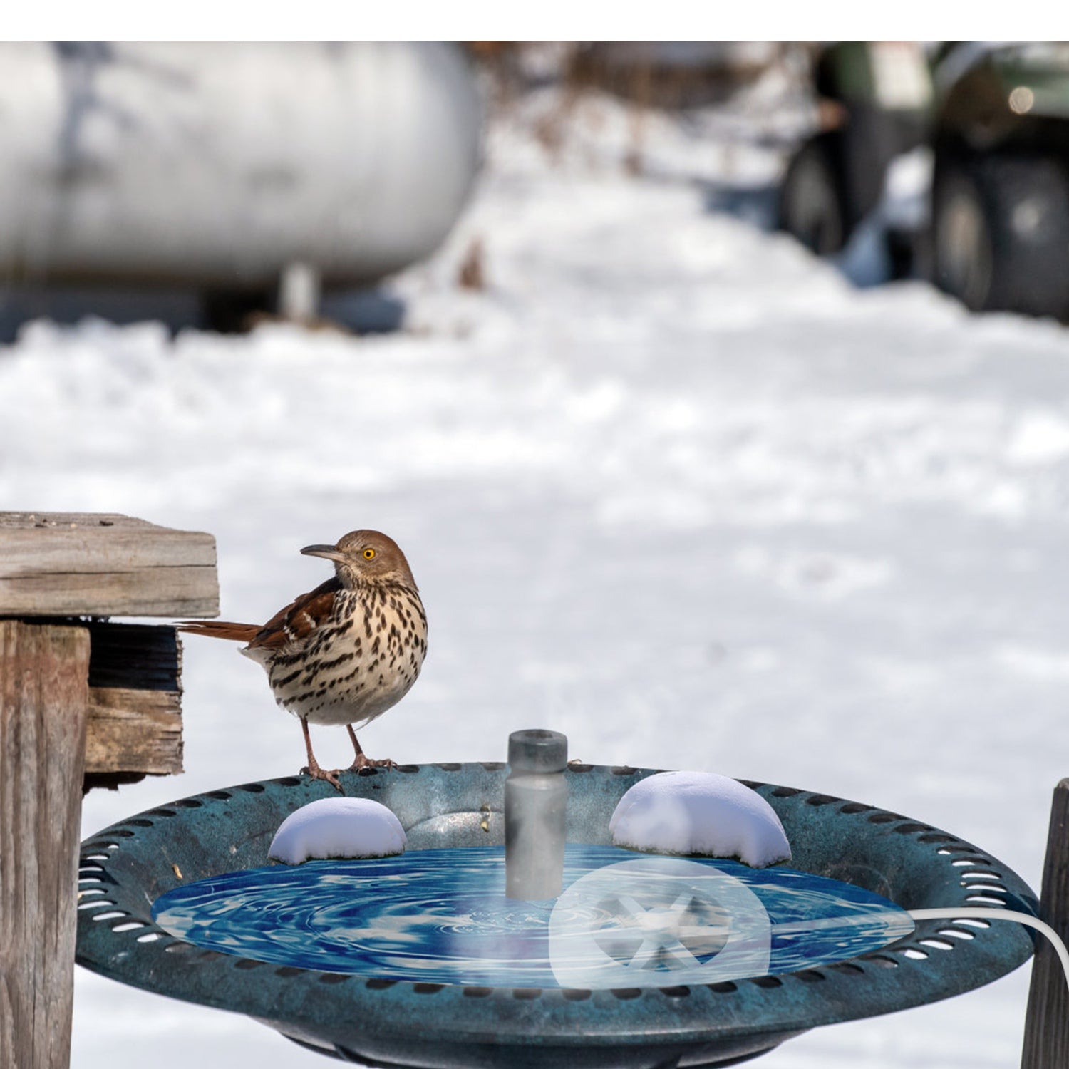 70W Bird Bath Heater Outdoor Winter Deicer Thermostat Safe