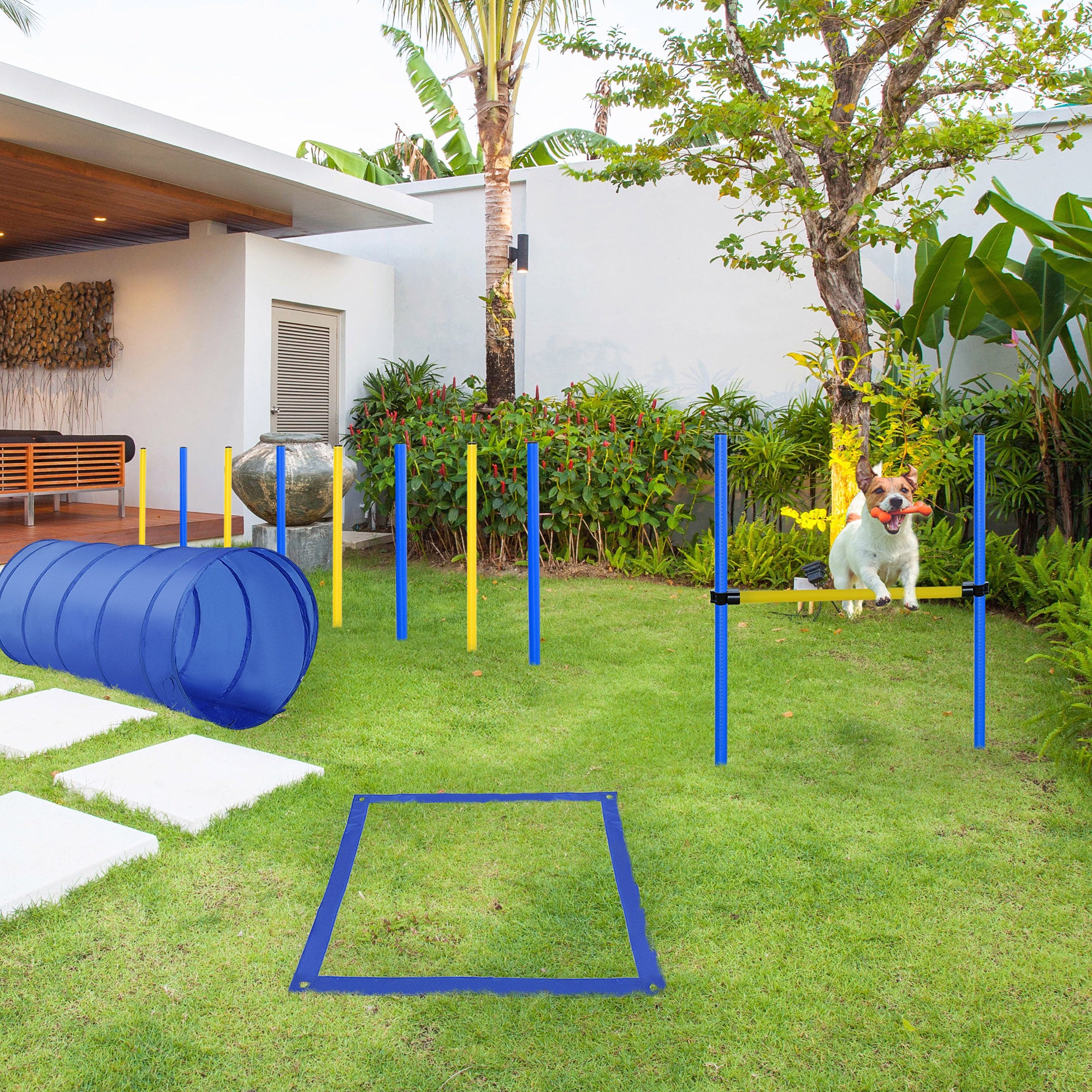 Dog Agility Training Course Set – Adjustable Jump, Tunnel & Weave Pole Obstacle Kit