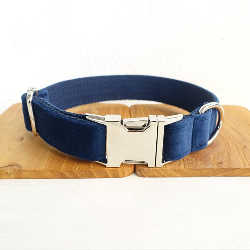 Bow Pet Collar and Traction Dog Chain for Small and Large Pets