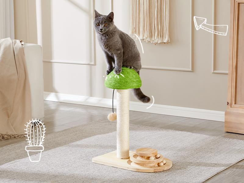 Premium Mushroom Cat Scratching Post with Ball Track Toy Board