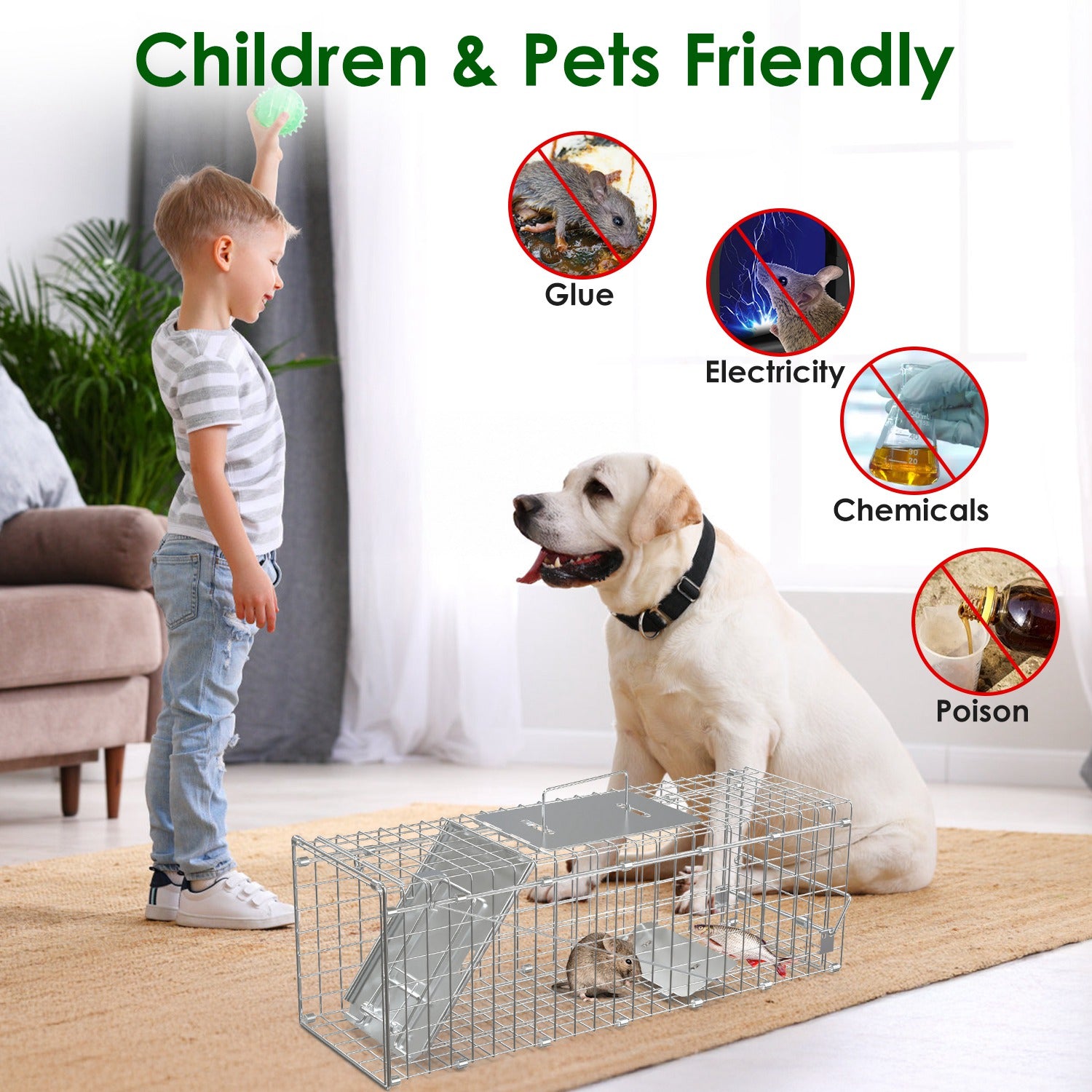 Premium Folding Humane Animal Trap Cage Easy Catch and Release