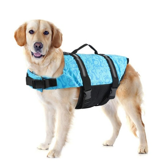 Paw Roll Pet Toy for Active Play and Healthy Development