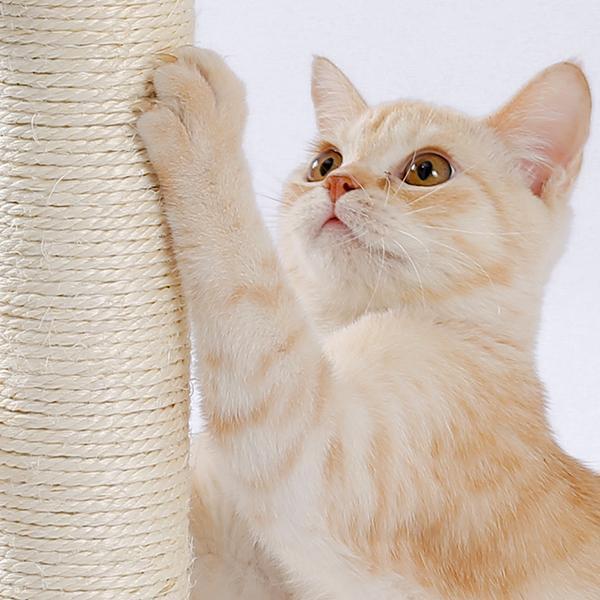 Premium Indoor Cat Scratching Board with Interactive Ball Track Toy