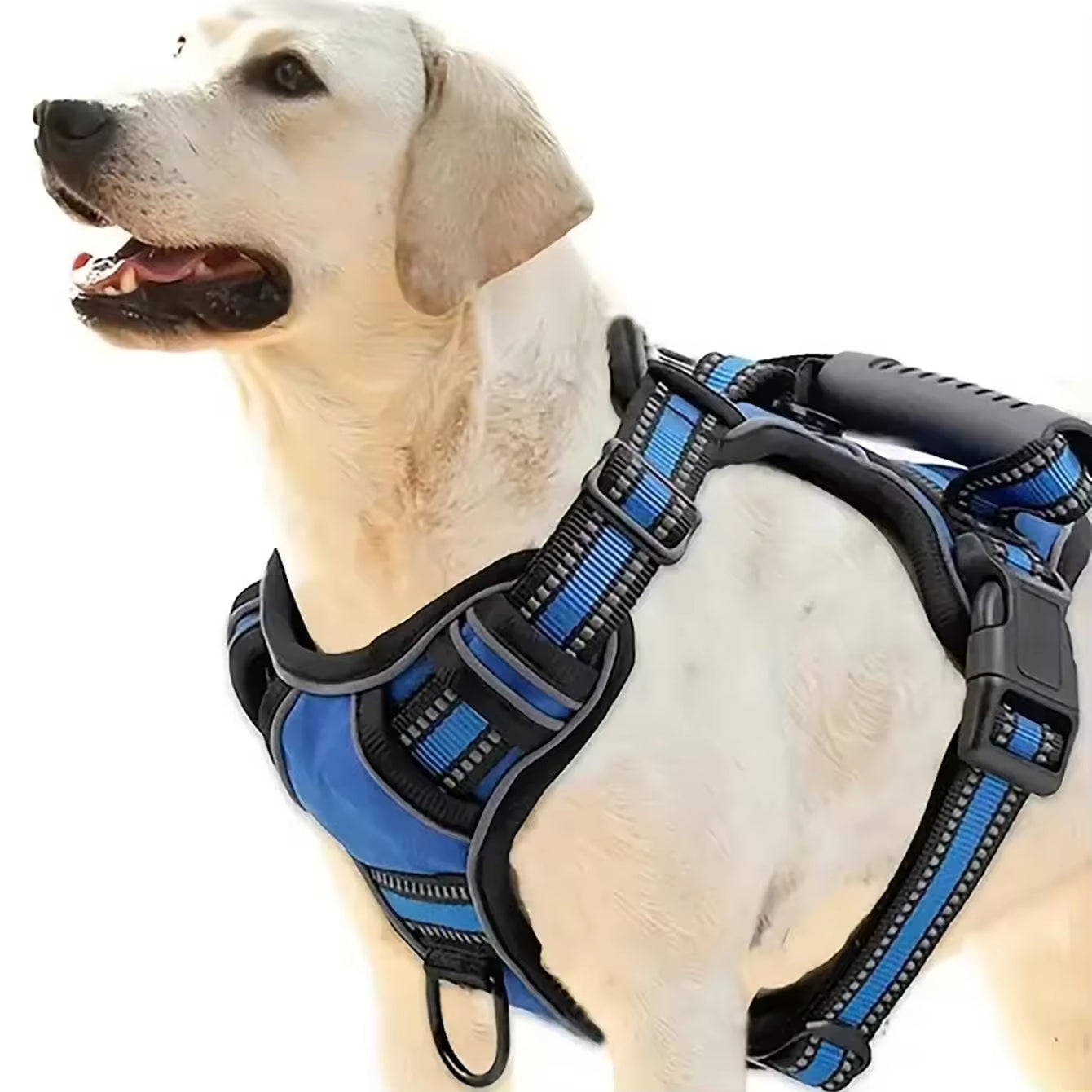 Premium Tactical Dog Harness Set Travel Kit Leash Bowl Belt