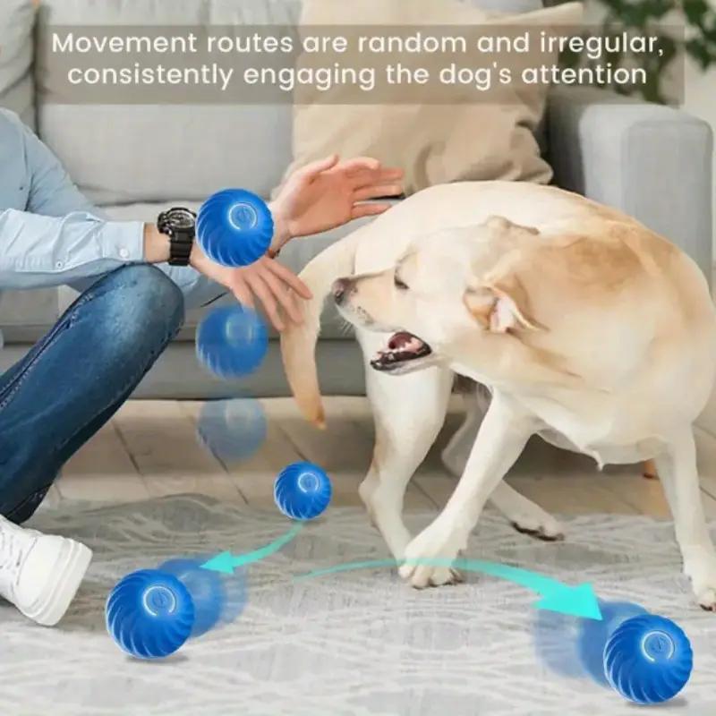 Interactive Pet Bounce Ball Toy for Dogs & Cats – Durable Bouncy Play Ball
