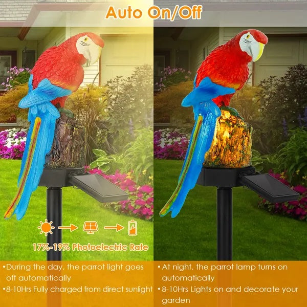 Charming Solar Parrot Garden Light Waterproof LED Outdoor Decor