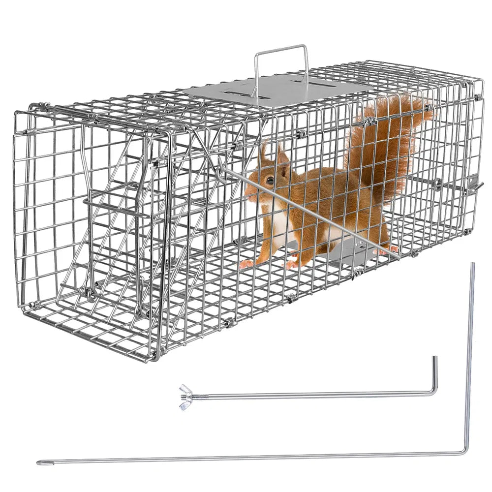 Premium Humane Animal Trap Cage Collapsible Galvanized Wire