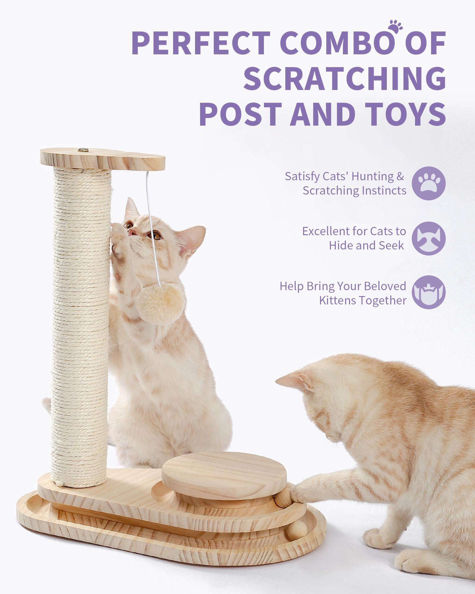 Premium Indoor Cat Scratching Board with Interactive Ball Track Toy