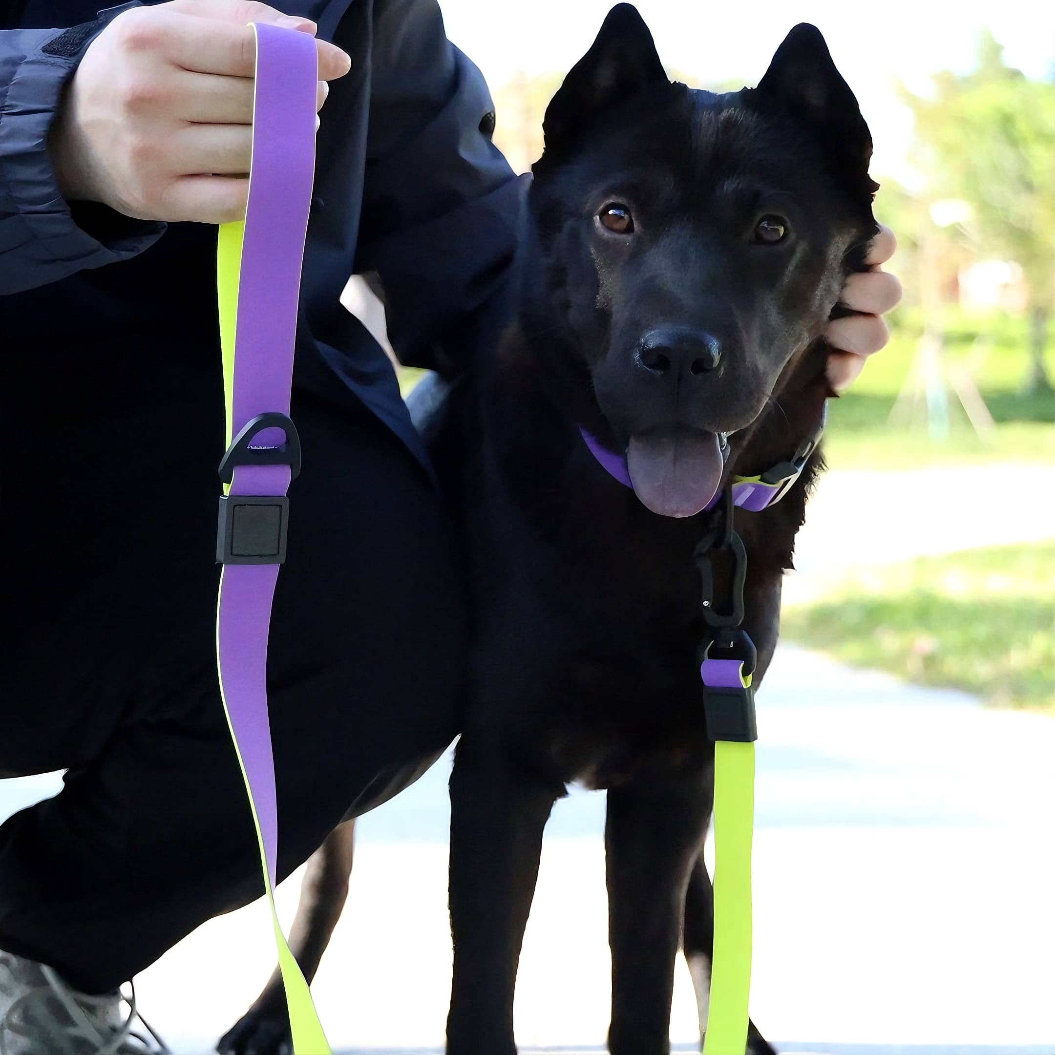 Honeycomb Embossed Dual-Color Pet Leash Set for Stylish Control