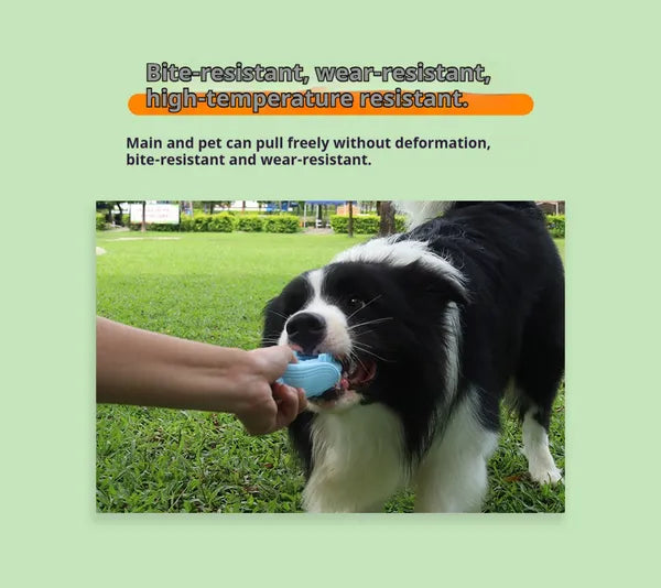 Premium Corn Shape Dog Chew Toy for Teething and Dental Care