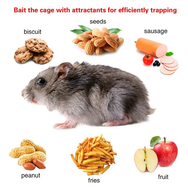 Premium 2 Pack Humane Rat Trap Cage Reusable Metal Design