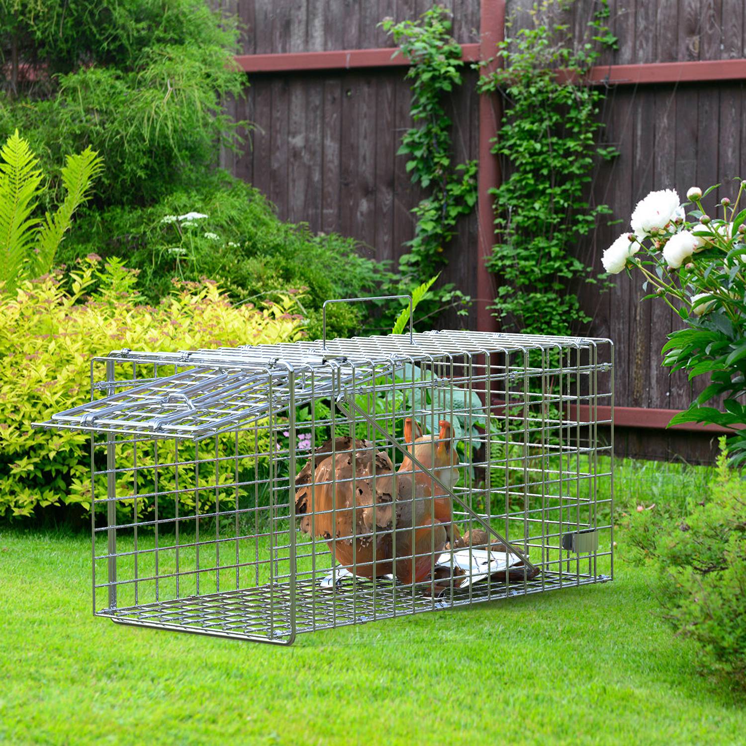 2-Pack Humane Live Animal Trap Cages – Collapsible Single Door Catch & Release Traps