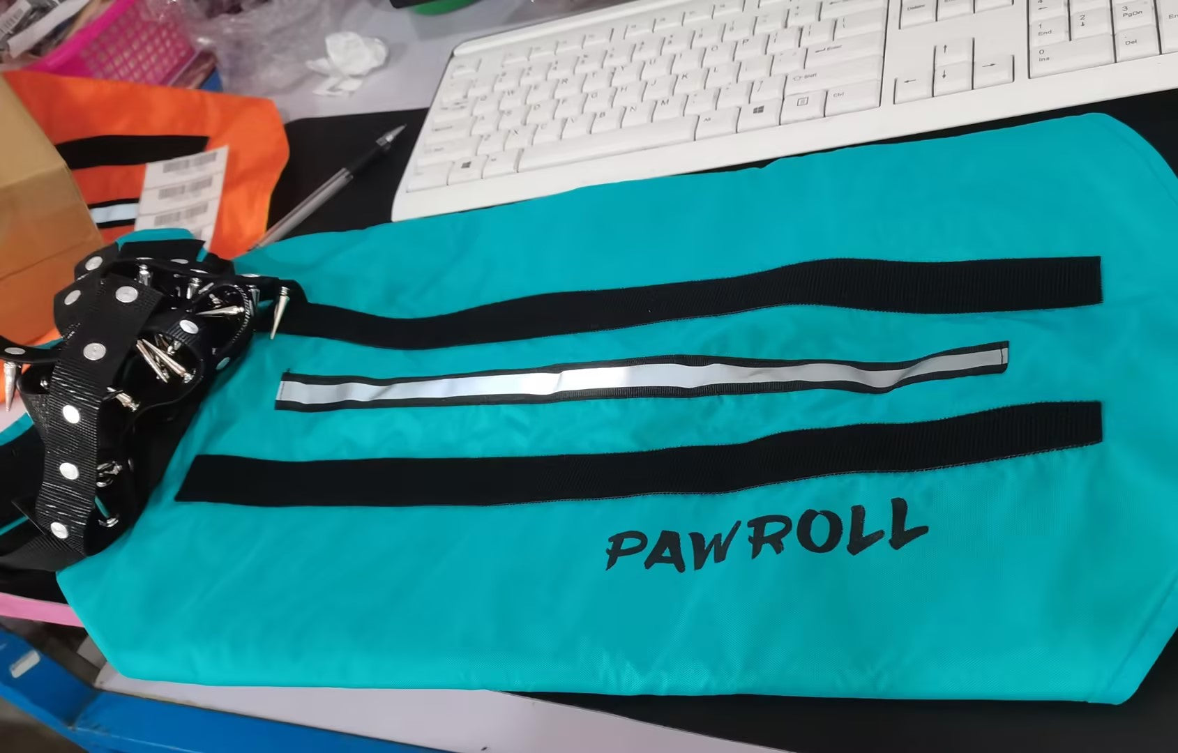 Paw Roll Pet Toy for Active Play and Healthy Development