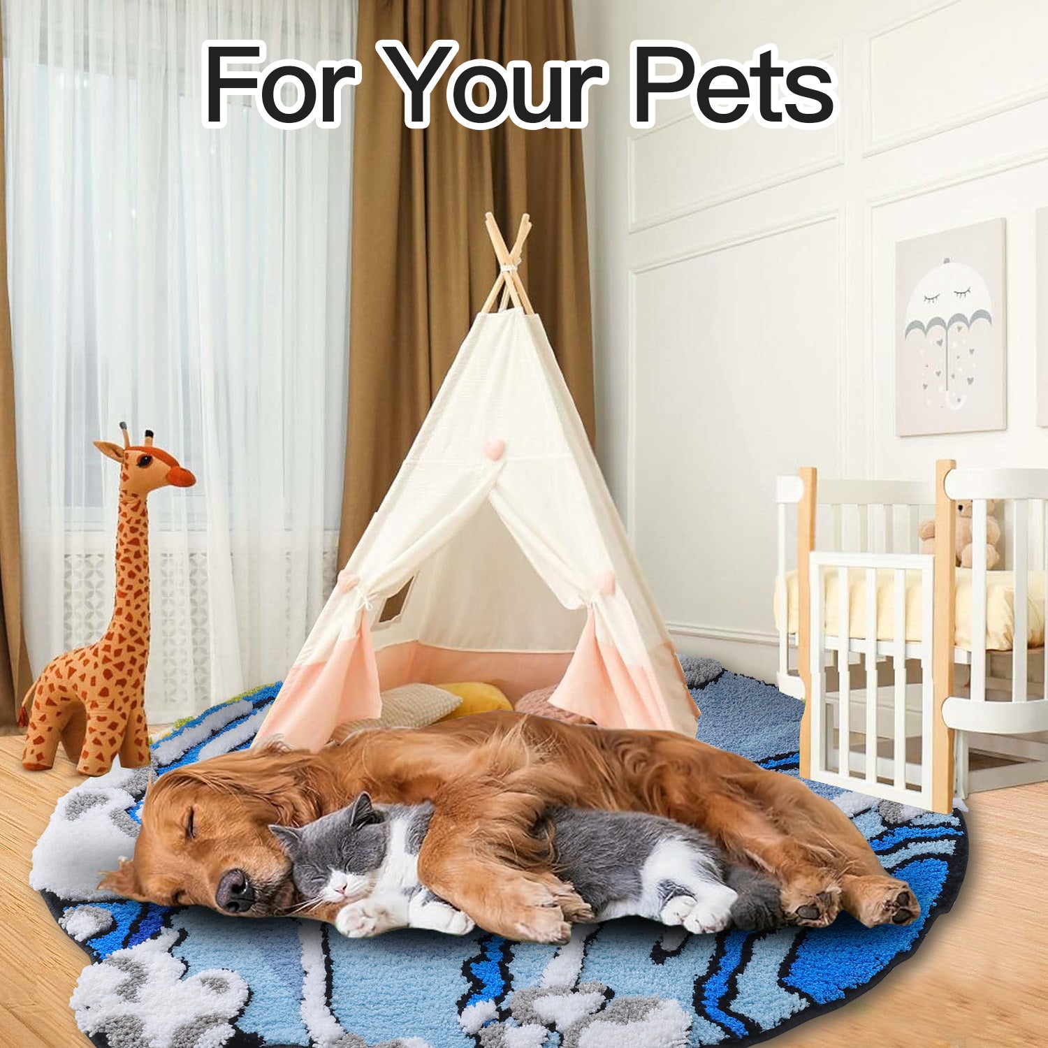 Non Slip Absorbent Bathroom Rug Cute Aesthetic Floor Mat