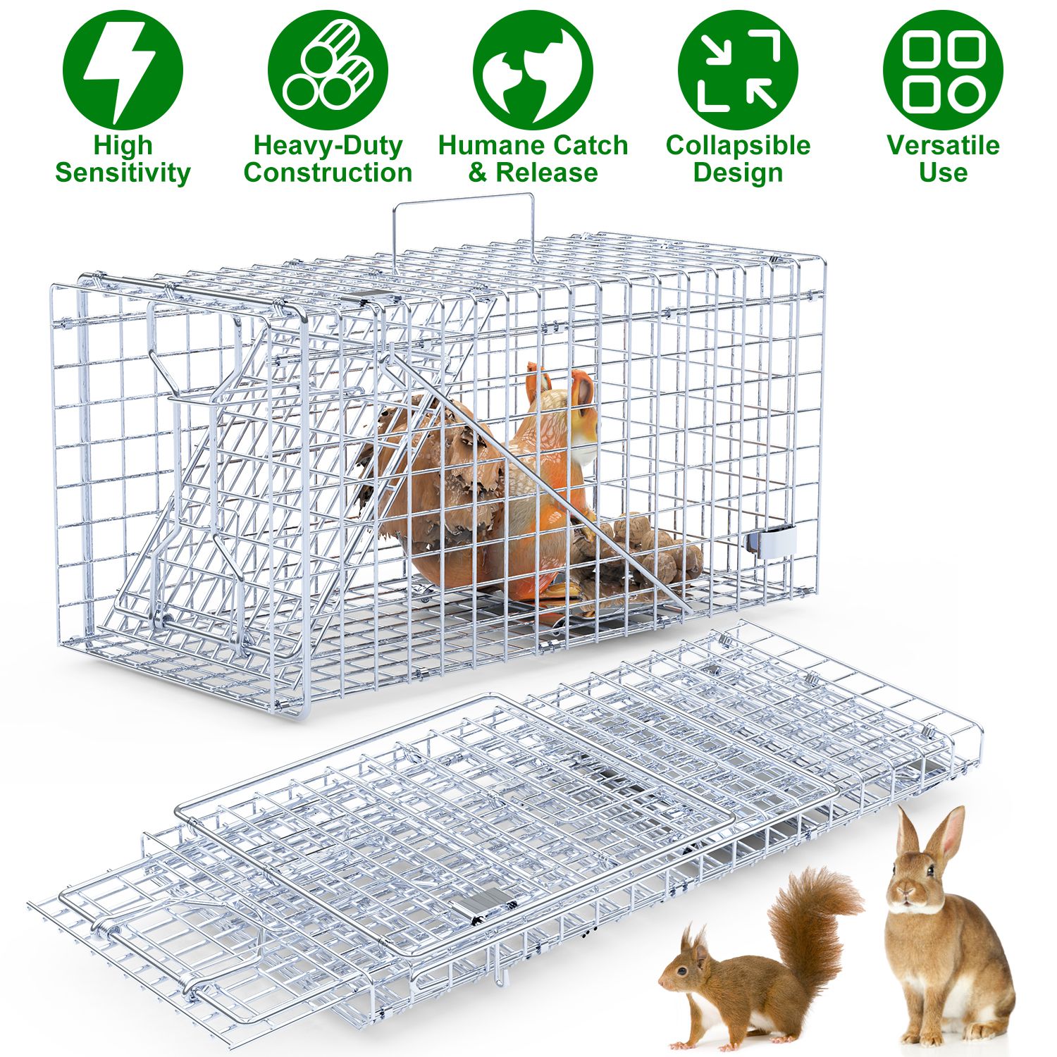2-Pack Humane Live Animal Trap Cages – Collapsible Single Door Catch & Release Traps
